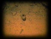 073 Bottle